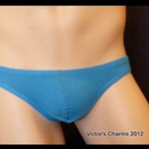 10/$40 NWT NEW Victor's Charms/Intouch Soft Cotton Bikini Briefs underwear